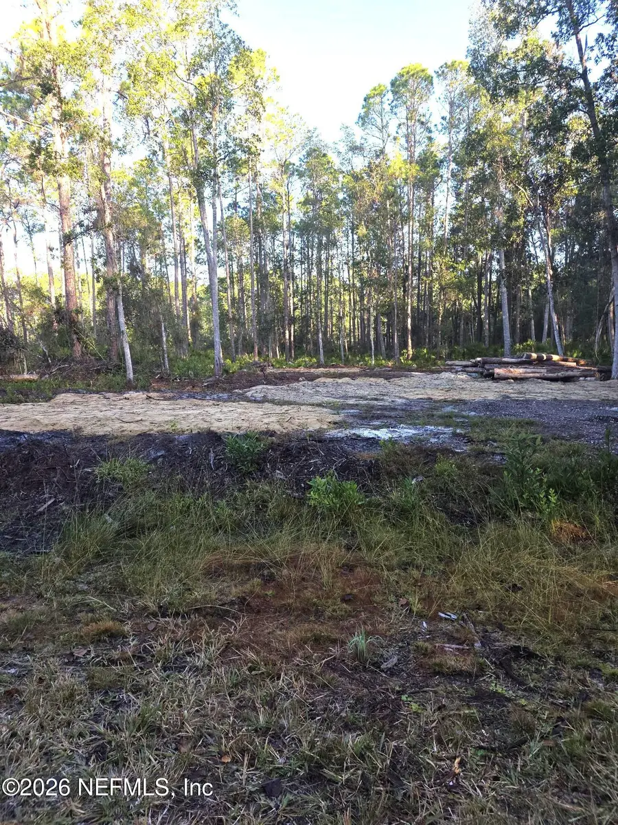 112 Marie Avenue, Georgetown, FL 32139 - Image #3