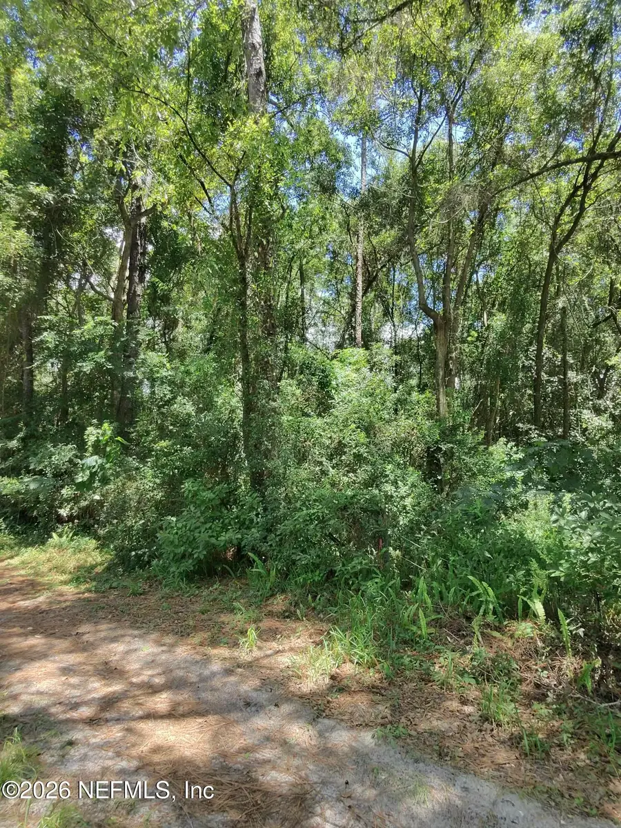 0 Ribault Terrace, Jacksonville, FL 32209 - Image #2