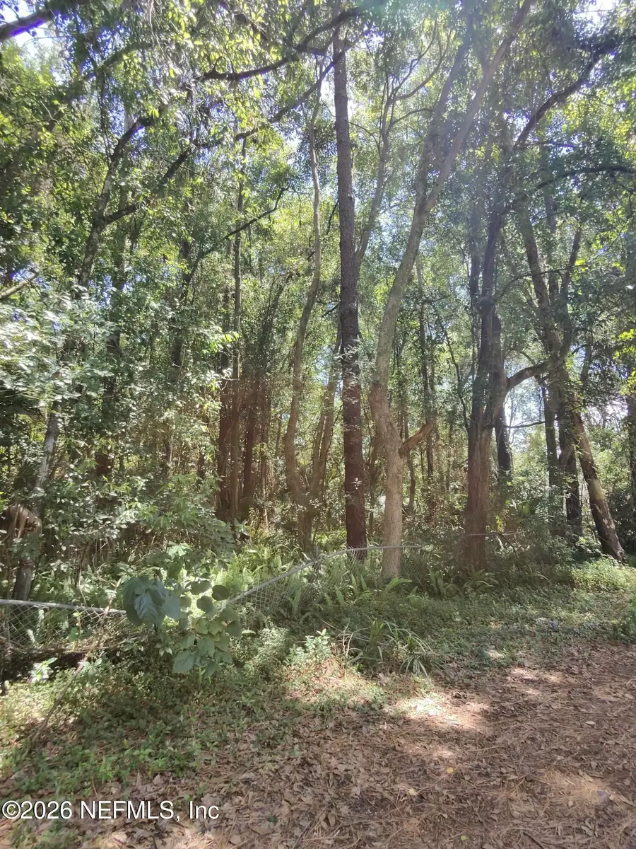 0 Ribault Terrace, Jacksonville, FL 32209 - Image #3