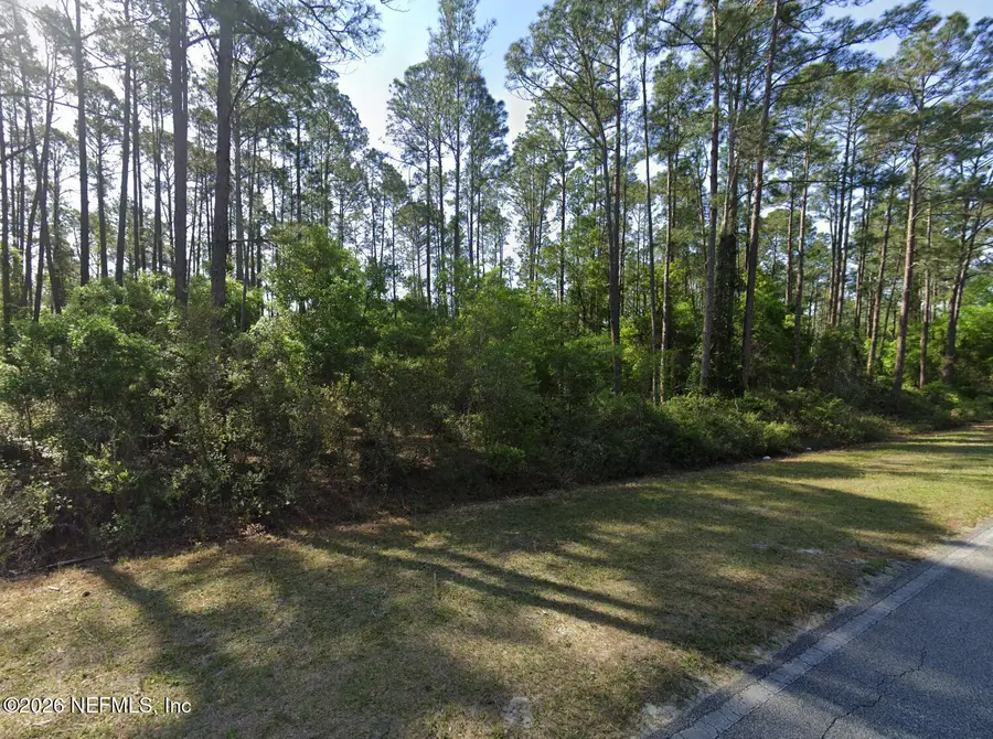 165 Georgetown Denver Road, Georgetown, FL 32139 - Image #2