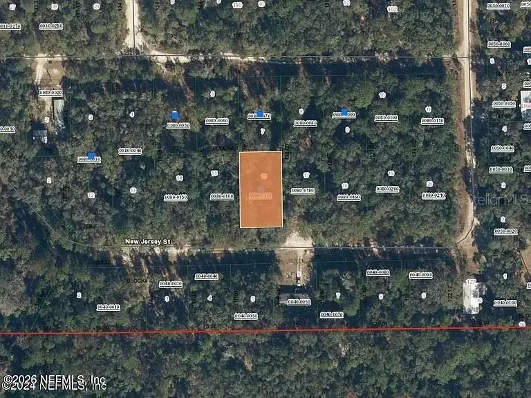 118 New Jersey Street, Satsuma, FL 32189 - #3