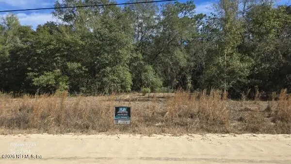 7681 Colorado Avenue, Keystone Heights, FL 32656 - Image #3