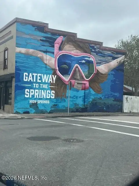 0 260th, Suwannee, FL 32071 - Image #3