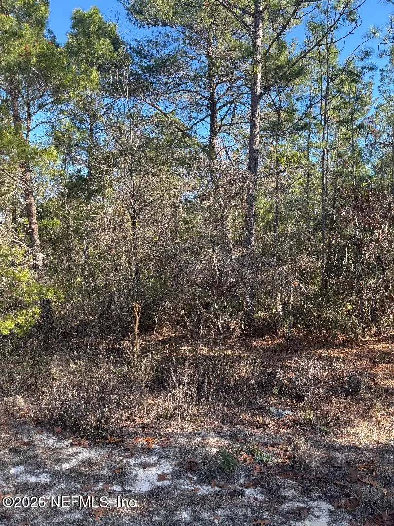 7457 Bienville Avenue, Keystone Heights, FL 32656 - #1