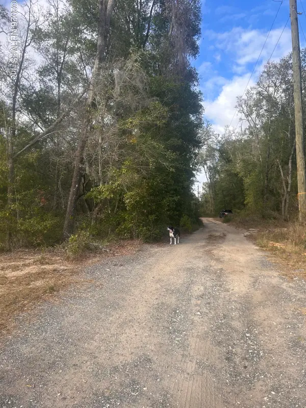 0 State Road 20, Hawthorne, FL 32640