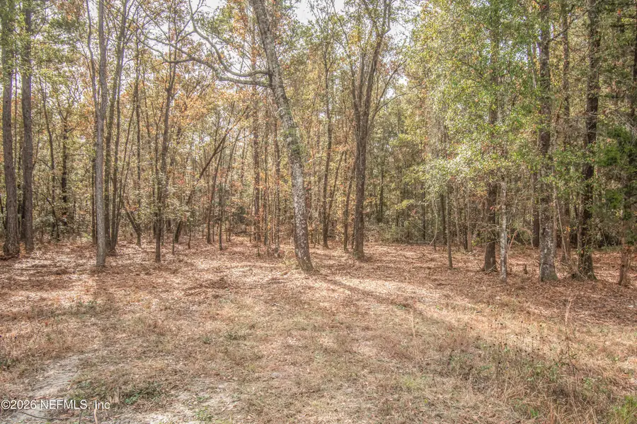 13890 County Road 124, Sanderson, FL 32087 - Image #2