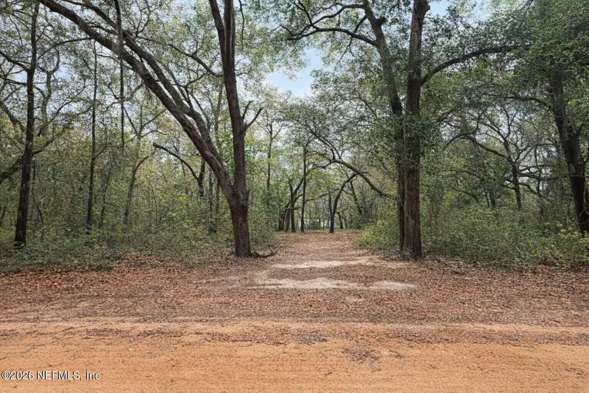 102 David Drive, Interlachen, FL 32148 - #1