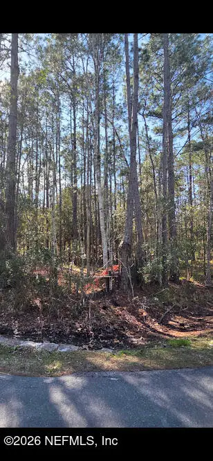 4810 Parete Circle, Jacksonville, FL 32218 - Image #2