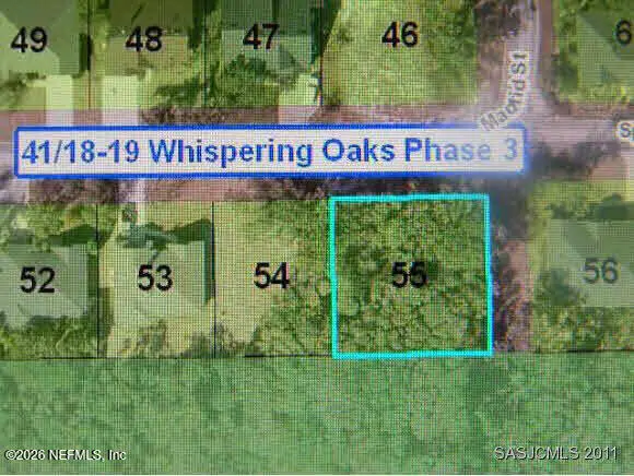 206 Madrid Street, Saint Augustine Beach, FL 32080 - #1