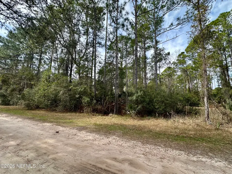 233 Marie Avenue, Georgetown, FL 32139 - Image #3
