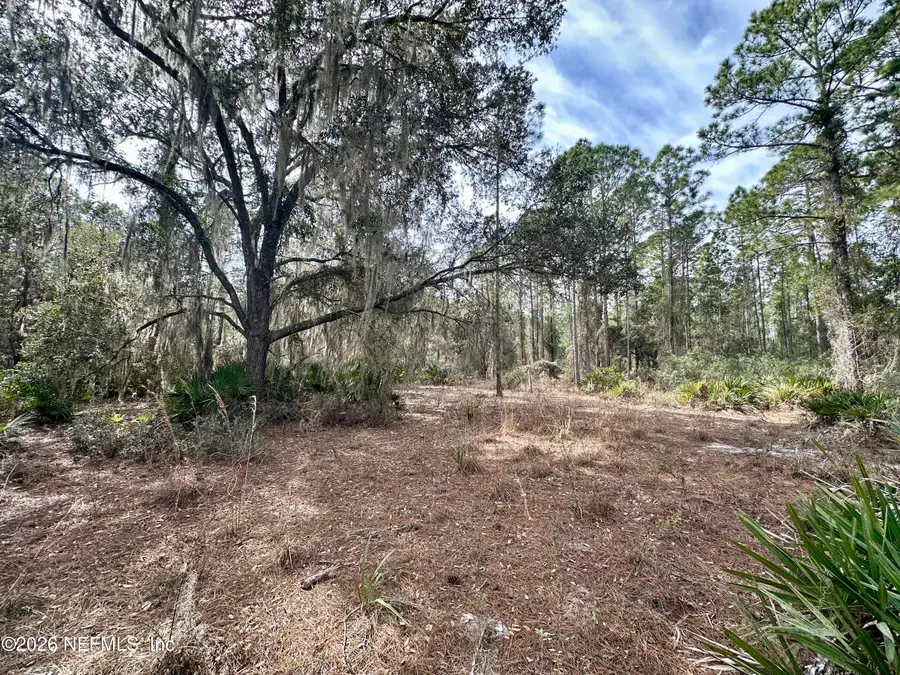 229 Marie Avenue, Georgetown, FL 32139 - Image #2