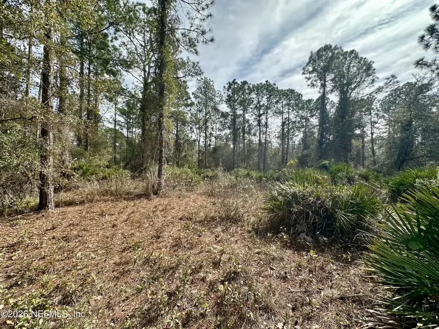 229 Marie Avenue, Georgetown, FL 32139 - Image #3