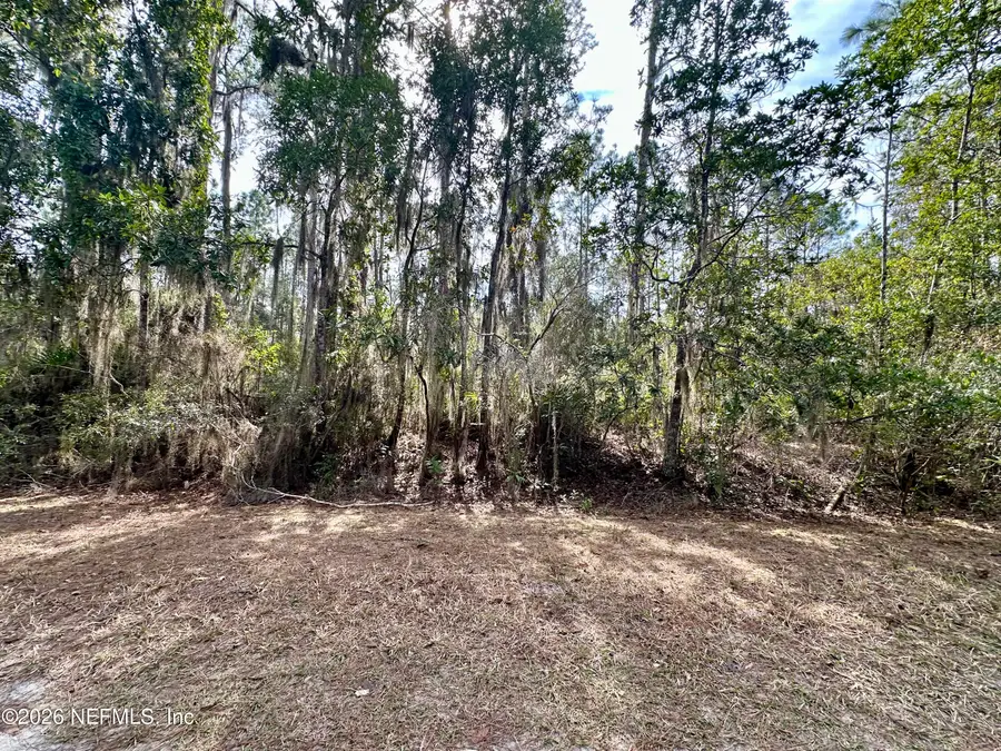 225 Marie Avenue, Georgetown, FL 32139 - Image #3