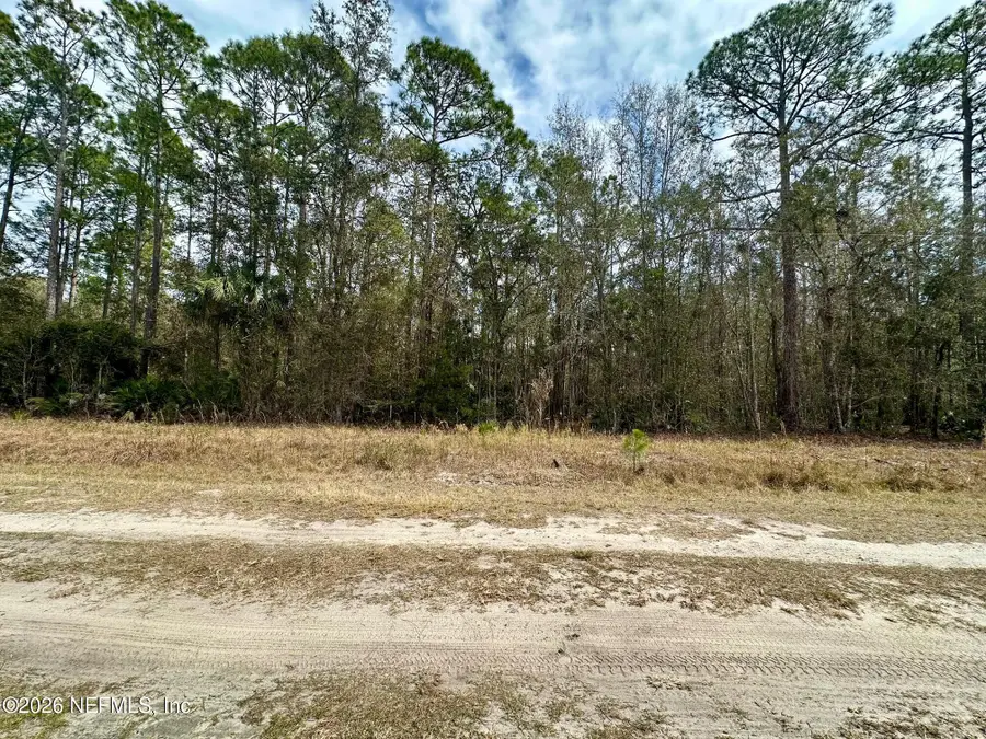 304 Lakeshore Drive, Georgetown, FL 32139 - Image #2