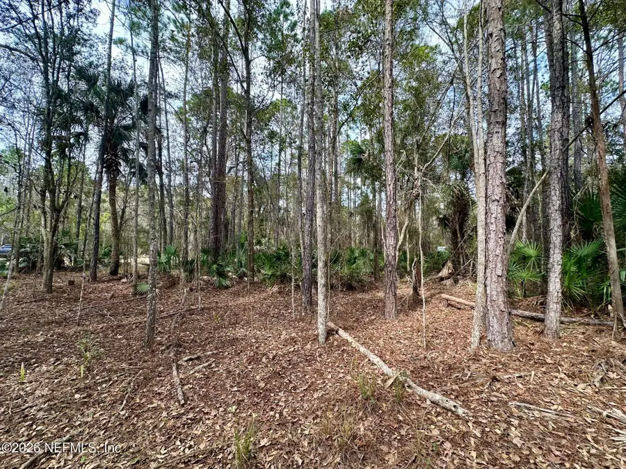 304 Lakeshore Drive, Georgetown, FL 32139 - Image #3