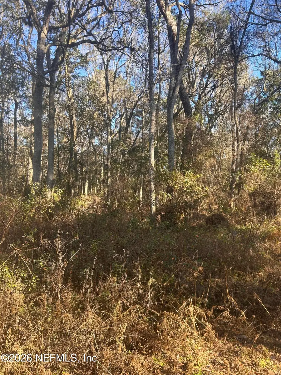 258 Lake Drive, Florahome, FL 32140 - #2