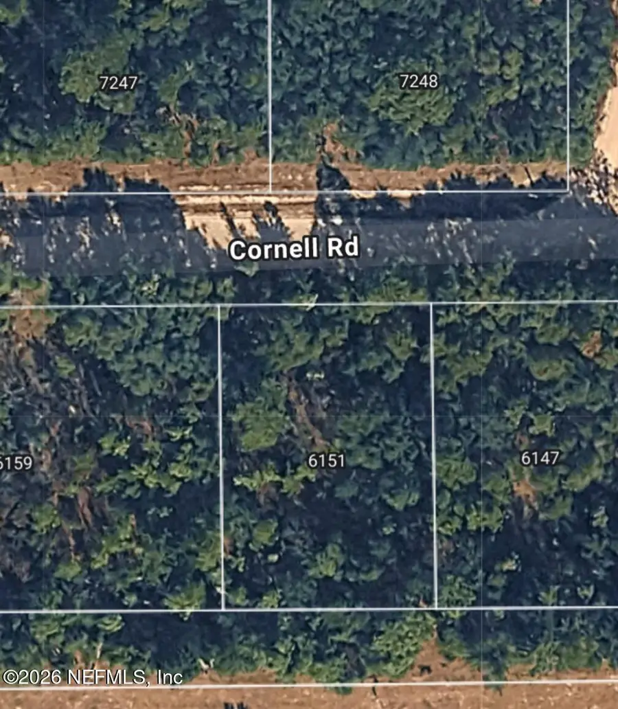 6151 Cornell Road, Keystone Heights, FL 32656 - #3