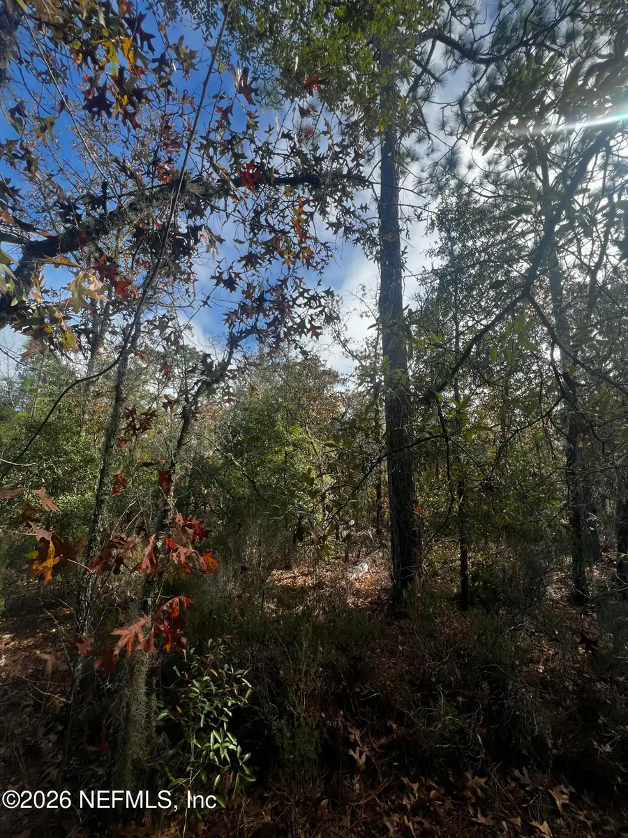 307 Lemon Street, Interlachen, FL 32148 - #2