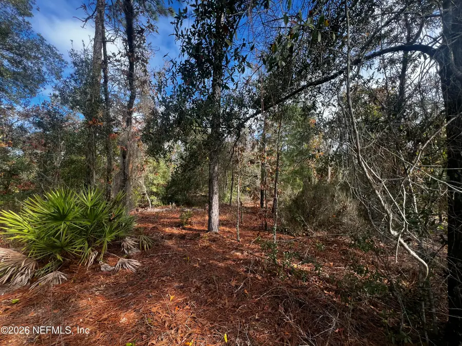 307 Lemon Street, Interlachen, FL 32148 - #3