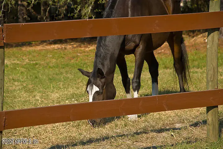 3760 Old Jennings Road #B, Middleburg, FL 32068 - Image #1