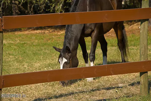 3760 Old Jennings Road #B, Middleburg, FL 32068