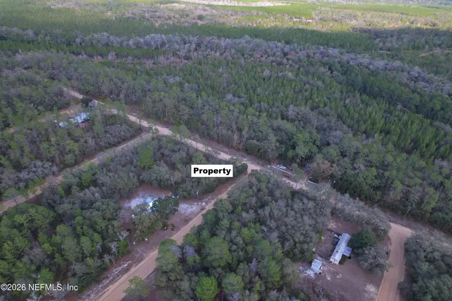 00 Banks Avenue, Interlachen, FL 32148 - #3