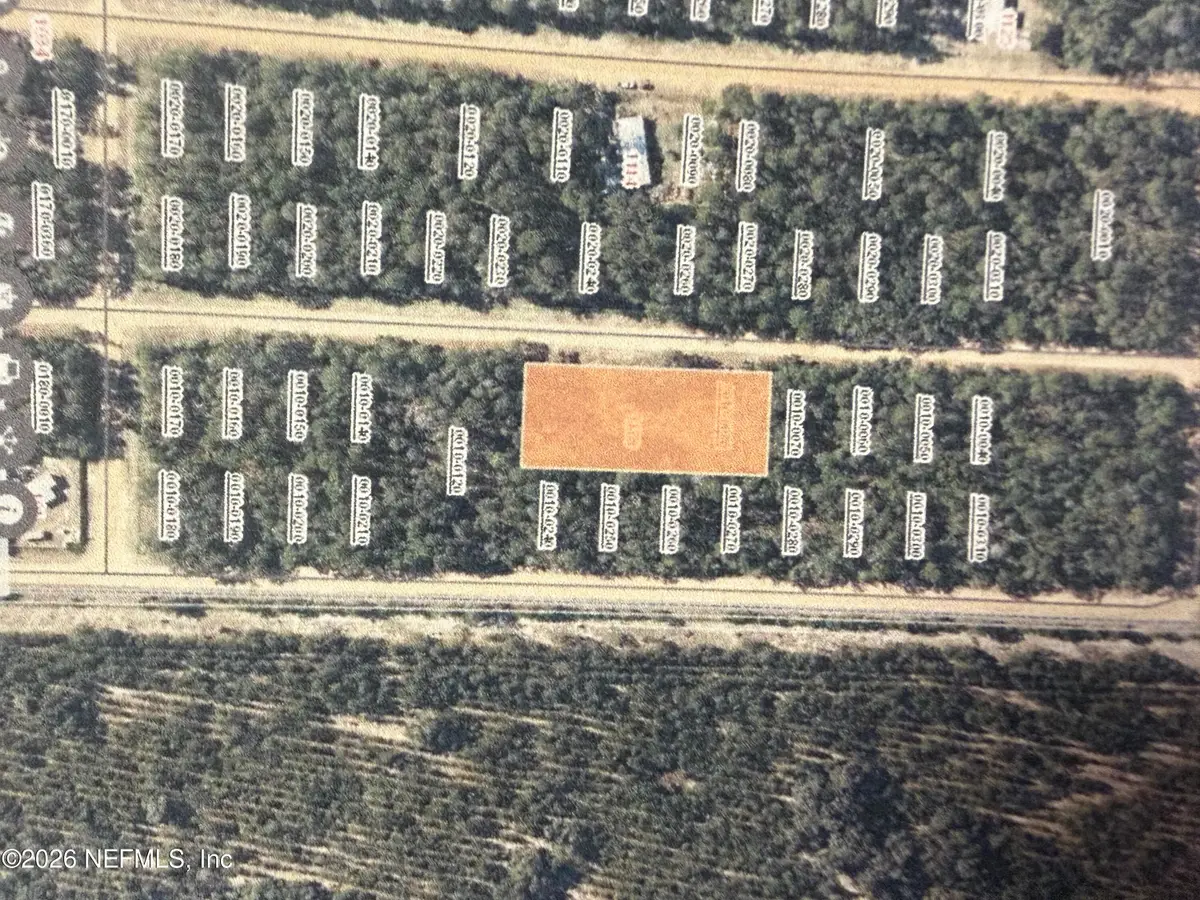 1118 Selma Avenue, Florahome, FL 32140 - #1