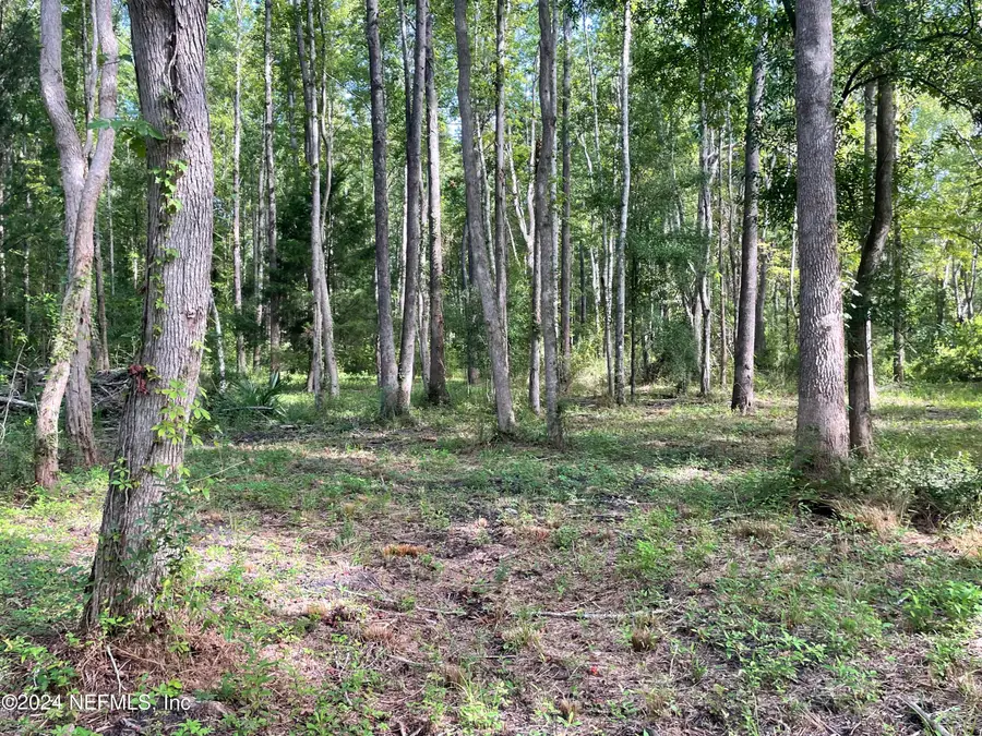 0 Sunrise Farms Road, Middleburg, FL 32068 - #2