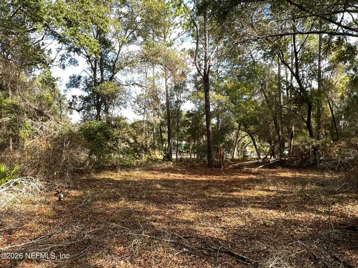 141 Woodland Lane, Hawthorne, FL 32640 - #1