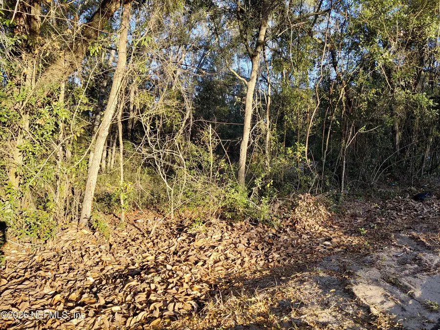 160 Putnam Loop Road, Melrose, FL 32666 - #3