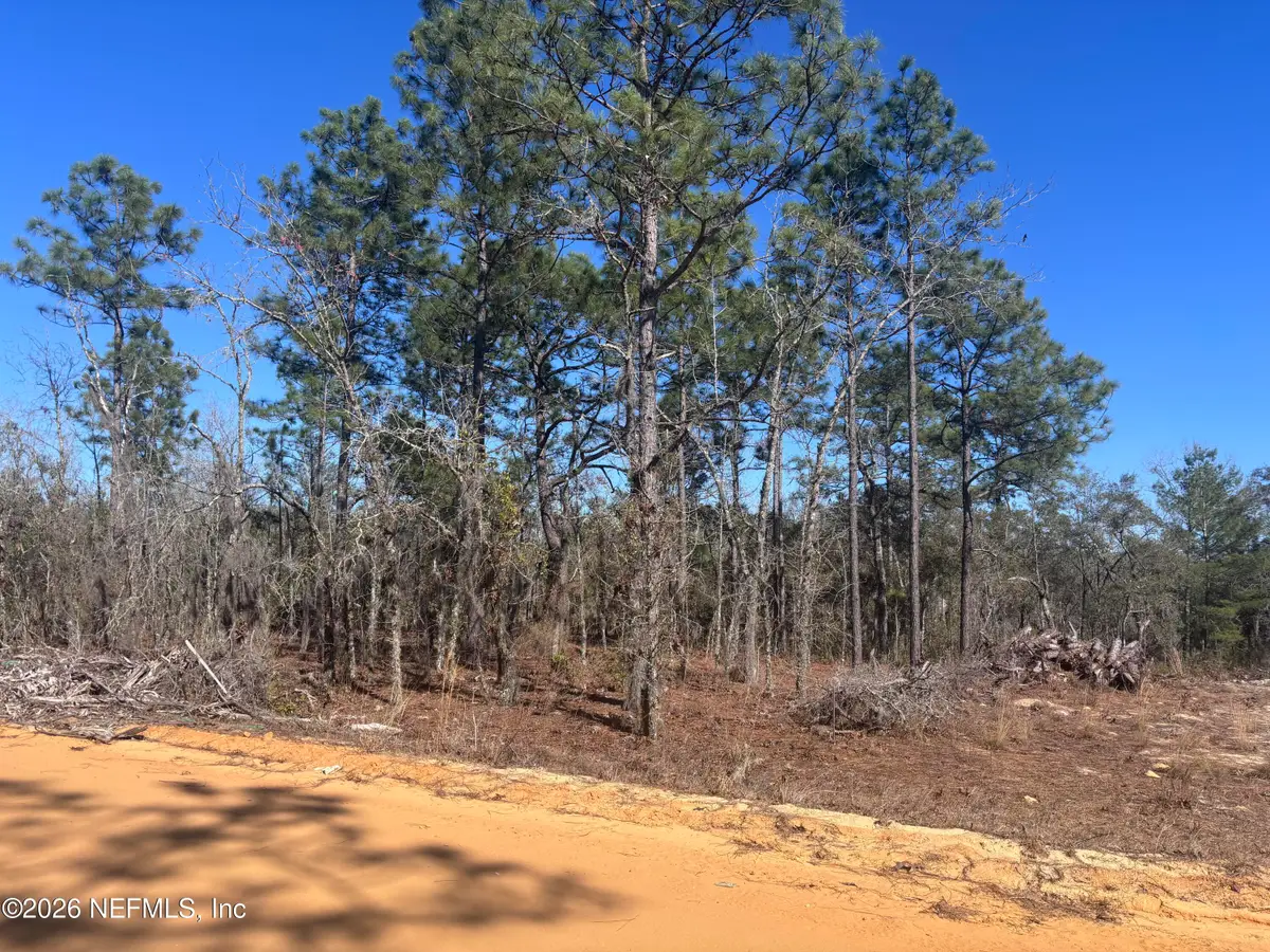 0 Violet Avenue, Interlachen, FL 32148 - #1