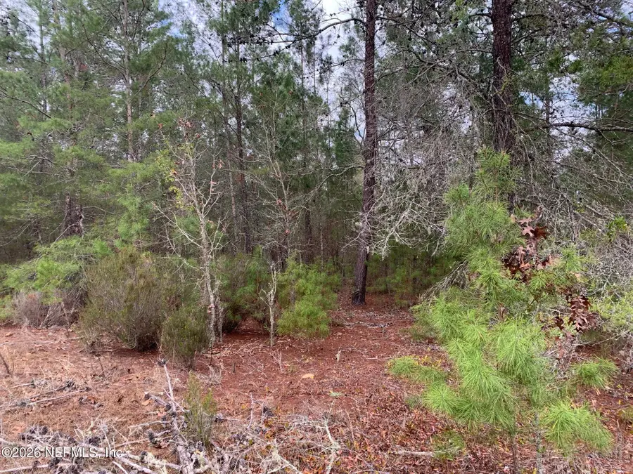 XXX St Lucie Avenue, Interlachen, FL 32148 - #3