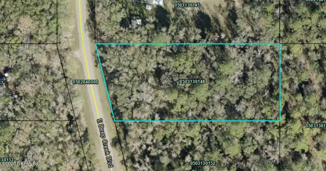 9770 E Deep Creek Boulevard, Hastings, FL 32145 - #1