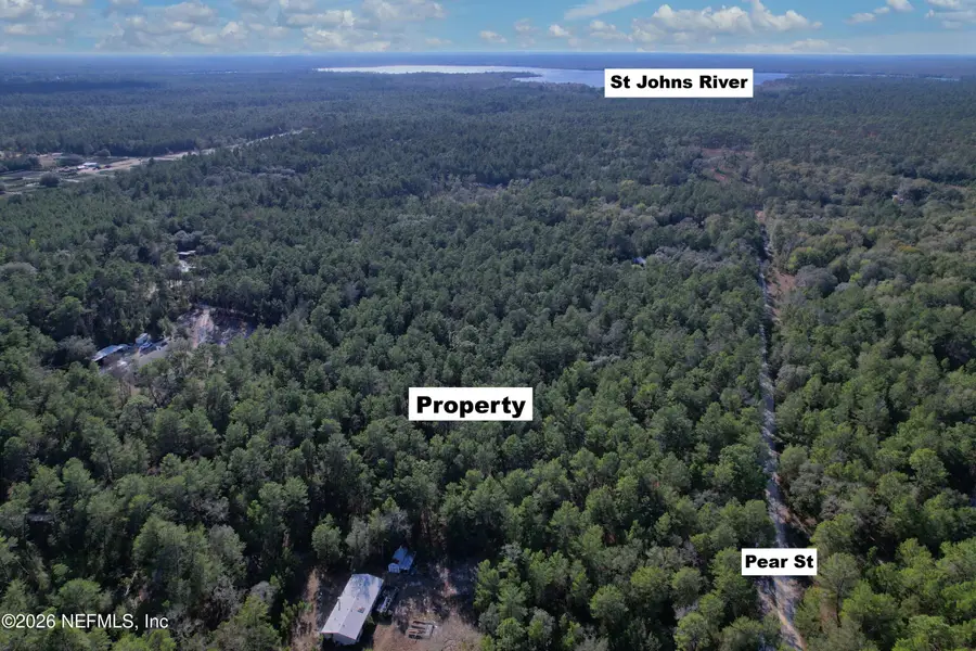 127 Pear Street, Pomona Park, FL 32181 - #3