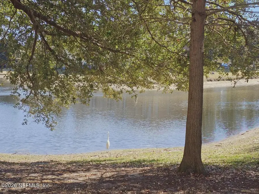 7826 Melvin Road, Jacksonville, FL 32210 - #2