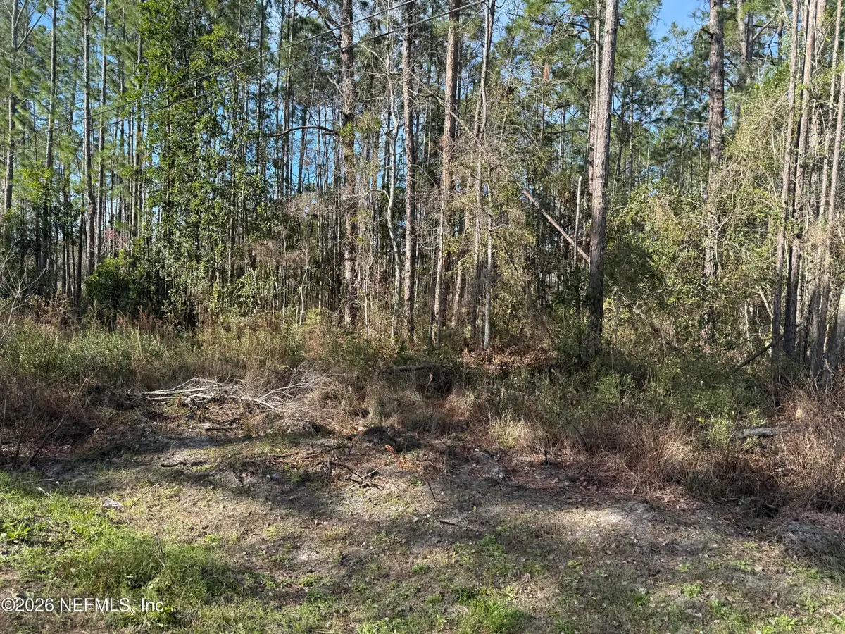 0 Wolf Trail, Middleburg, FL 32068 - #1