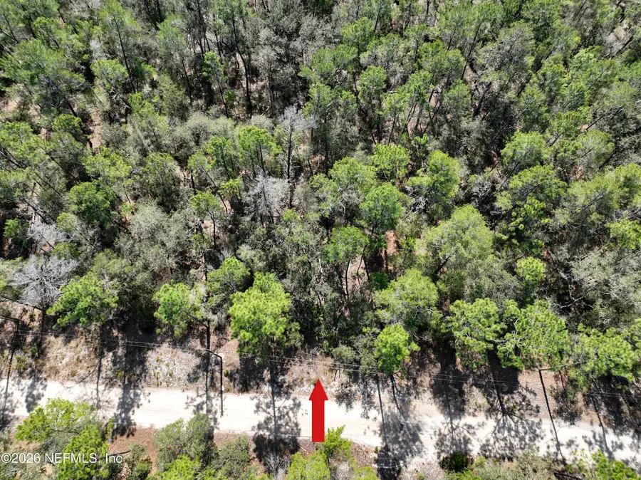 143 Florida Boulevard, Satsuma, FL 32189 - #3