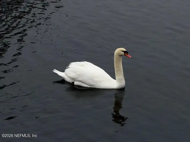 26 Fox Valley Drive, Orange Park, FL 32073 - #1