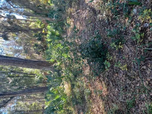 2499 Henley Road, Green Cove Springs, FL 32043