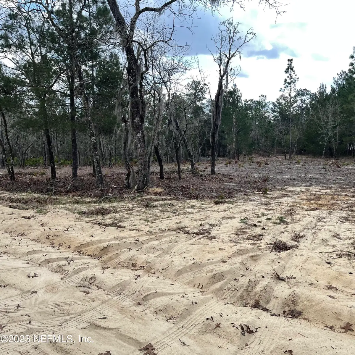 205 London Avenue, Interlachen, FL 32148 - #1