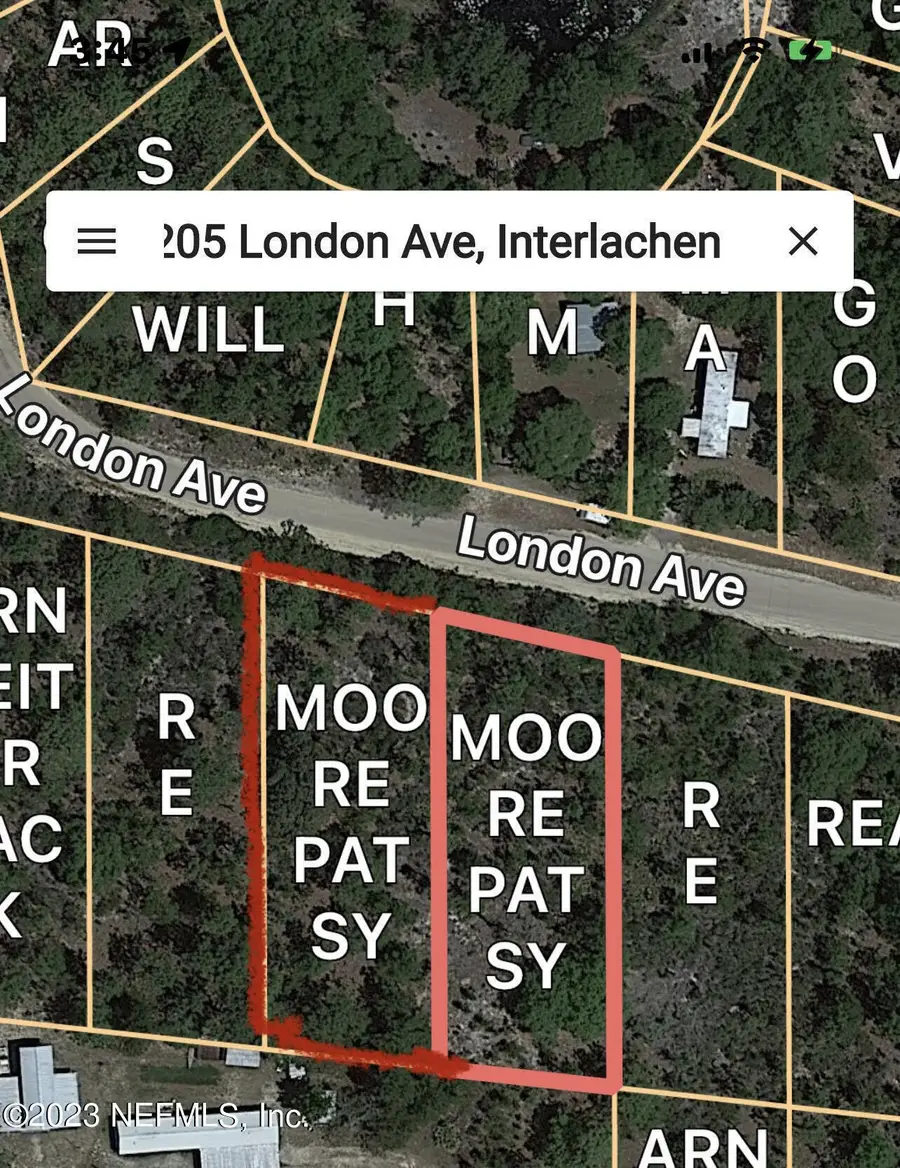 205 London Avenue, Interlachen, FL 32148 - #2