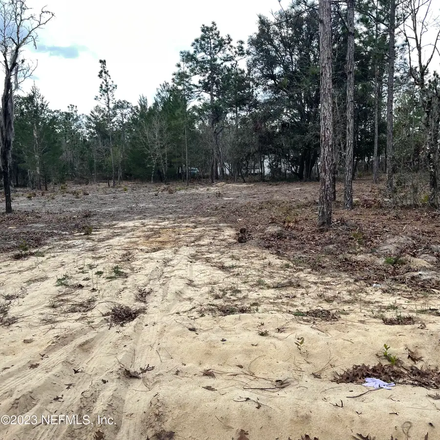 205 London Avenue, Interlachen, FL 32148 - #3