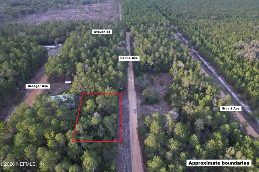 00 Selma Avenue, Florahome, FL 32140 - #3