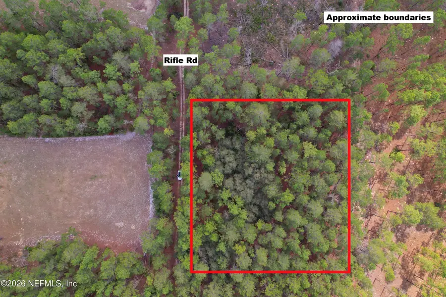 215 Rifle Road, Florahome, FL 32140 - #2