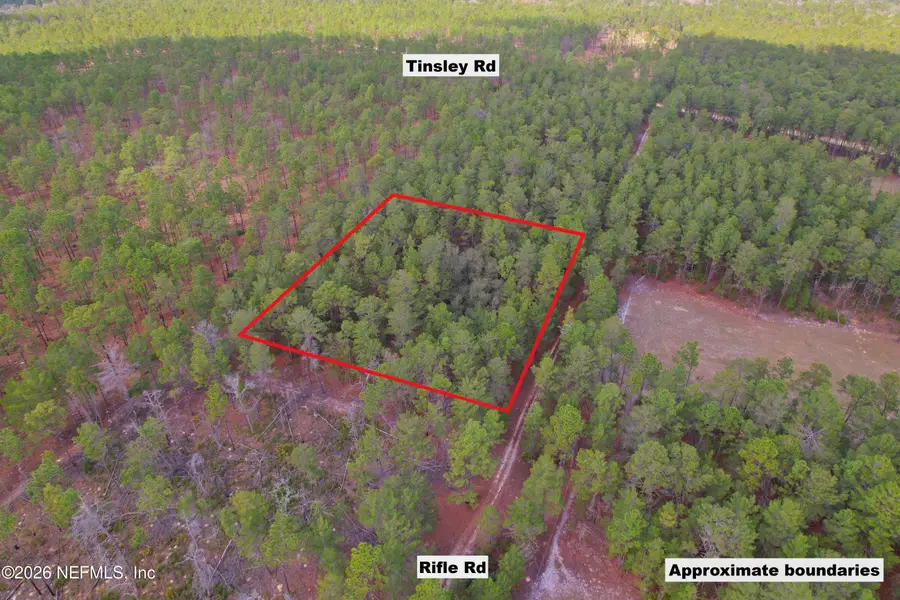 215 Rifle Road, Florahome, FL 32140 - #3