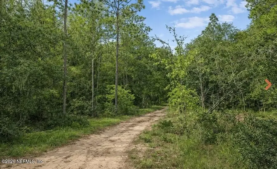 0 Delaware Terrace, Interlachen, FL 32148 - #3