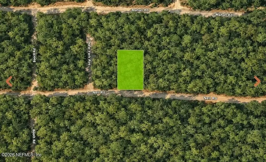 0 Nell Road, Interlachen, FL 32148 - #3