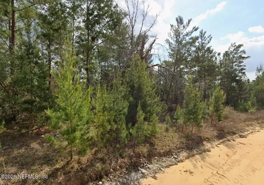 218 Akron Street, Interlachen, FL 32148 - #3