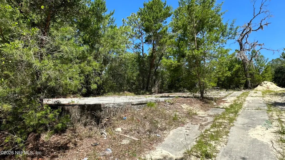 110 Lincoln Street, Satsuma, FL 32189 - #1