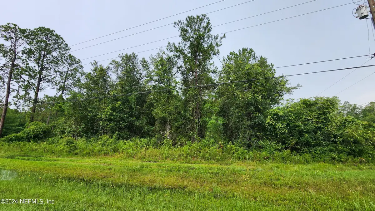 2171 Cosmos Avenue, Middleburg, FL 32068 - #1